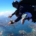 CEO Skydive Melbourne - Nick Stehr